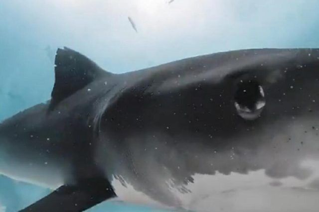 1496435 untitled ls 1496435 untitled ls