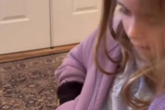 1502878 untitled ls 1502878 untitled ls