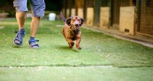 16270191788174884788