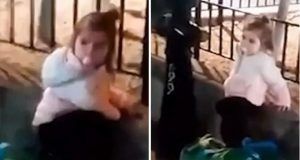 1b7a9acd d2cb 4495 bcb0 6a6ff2fe672c