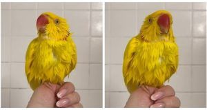 326b034e 272f 48df 9af8 bd9fc1d77b9f (1)