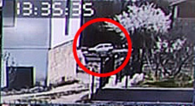 3854369 danka ilic2 ff