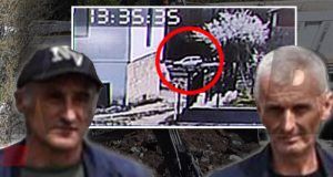 3854371 danka ilic4 ff