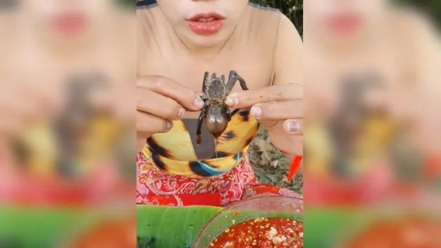 6d4c8e2e bc48 471c 8e74 3bc5a419d7cb