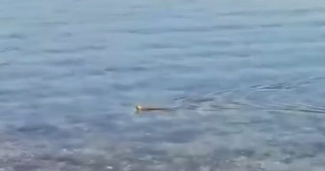 99ca6c6d cb2f 410f b3a3 dea8bcf2042a