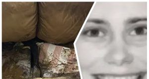 MixCollage 22 Apr 2024 11 22 PM 5977