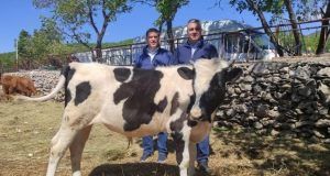 ea45b949 2304 4de9 9059 bf50268316e5