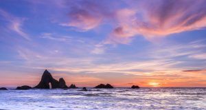 pexels anand dandekar 981451