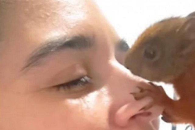 1506413 untitled ls 1506413 untitled ls