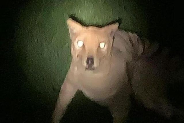 1508053 untitled ls 1508053 untitled ls