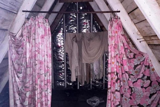 1508872 untitled ls 1508872 untitled ls