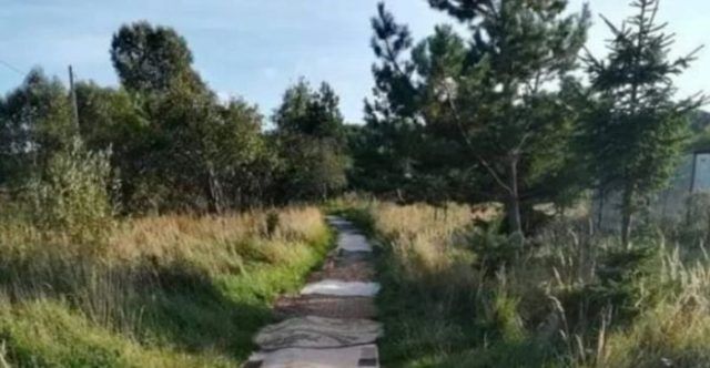 2ebef84c 178d 4520 8ffb 19d26247d716