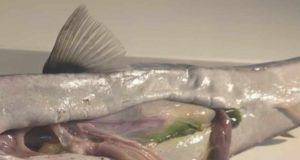 441272132 469589722194476 2439033897704131182 n