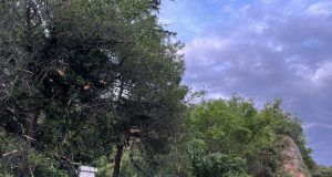 441951837 842197481285478 3723737094437279276 n