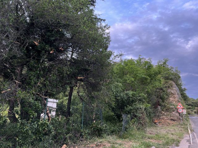 441951837 842197481285478 3723737094437279276 n