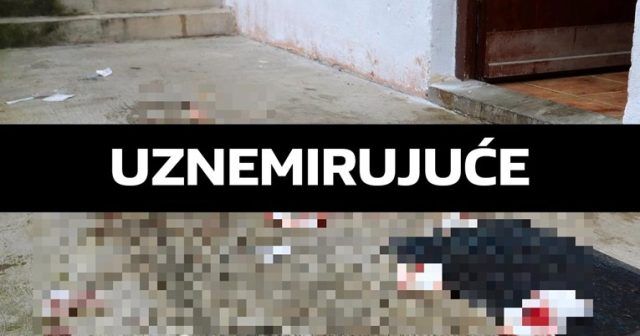 5ea53a75 f7db 49e1 b1fd b092ccf76e13