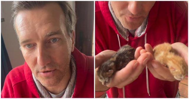 7fc9e63f 1690 4987 b061 58b2b97ab146