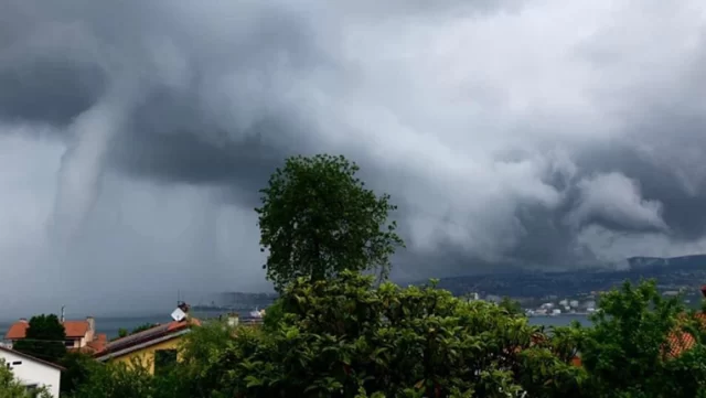 8778dfc7 e71e 4971 9d34 123d1a7e4919