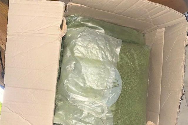 DROGA 2 RKA GLAVNA 22.2.2024. (1)