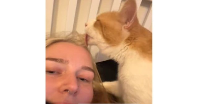 e6013dbb 3180 4608 a65f c31167bb70f5