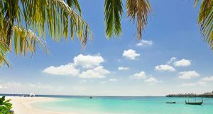 pexels asadphoto 1450353