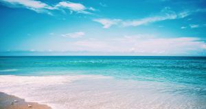 pexels aulsh99 2882660