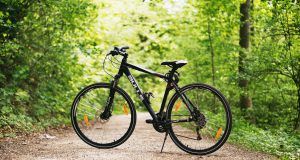 pexels luftschnitzel 100582