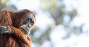 pexels miguel cuenca 67882473 21071809