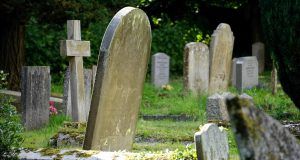 pexels mikebirdy 116909