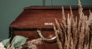 pexels pavel danilyuk 7317670 scaled