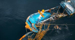 pexels pok rie 33563 3923726