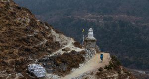 pexels vome 11806644