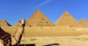 pexels yaroslav mukolayenko 1726937 3721472