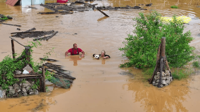 vlcsnap 2024 05 31 15h34m32s670 (1)