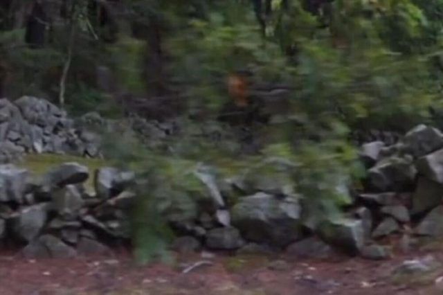 1510495 untitled ls (1)