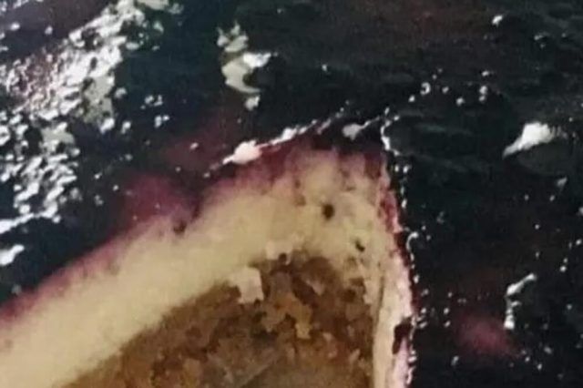 1513426 brod torta ls (1)