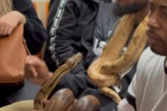 1513803 untitled ls 1513803 untitled ls