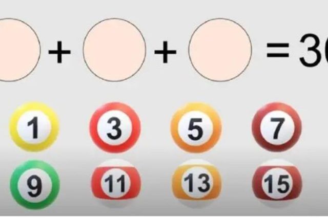 1514364 mozgalica ls