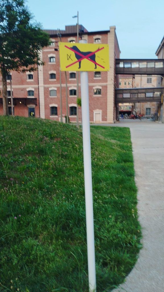 422629560 10230892865813636 5384143395753241671 n