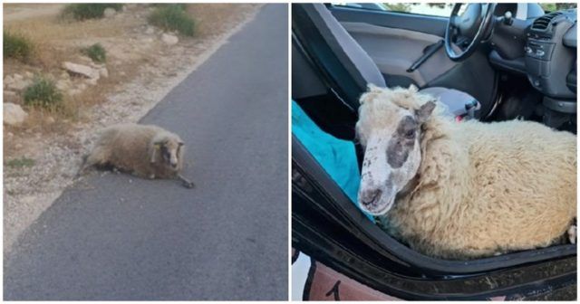 5386d64c a00c 44ce bc0d 4d708a3f9dd6