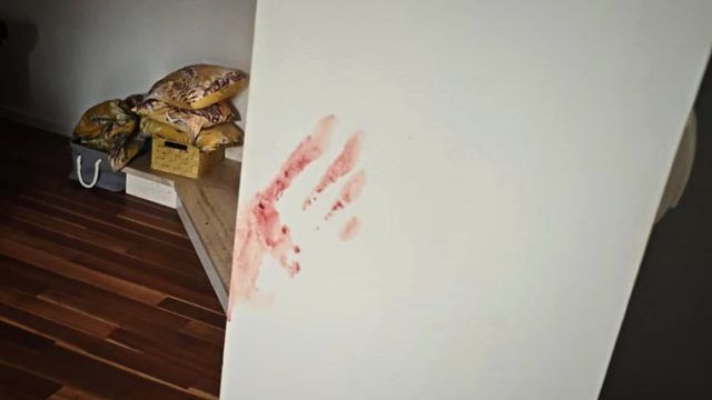 85571f48 0792 4bbb 926b 55ecf18e871e