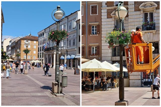 MixCollage 06 Jun 2024 12 44 PM 3202