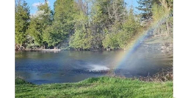 ae826ecf 474f 4cc7 9ce4 6cf4c8b9e7ac