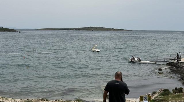 c2d81cdb 6db4 480e 9b39 acfda0314ad7