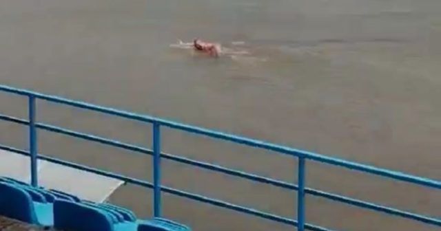 d419ab9b 7ca9 4b0d 9cdf fe0850e37430