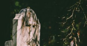 pexels brett sayles 1121906