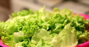 pexels daiangan 102123