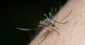 pexels jimbear 12972048