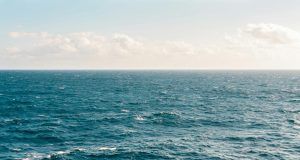 pexels kellie churchman 371878 1001682