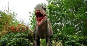 pexels mikebirdy 410856